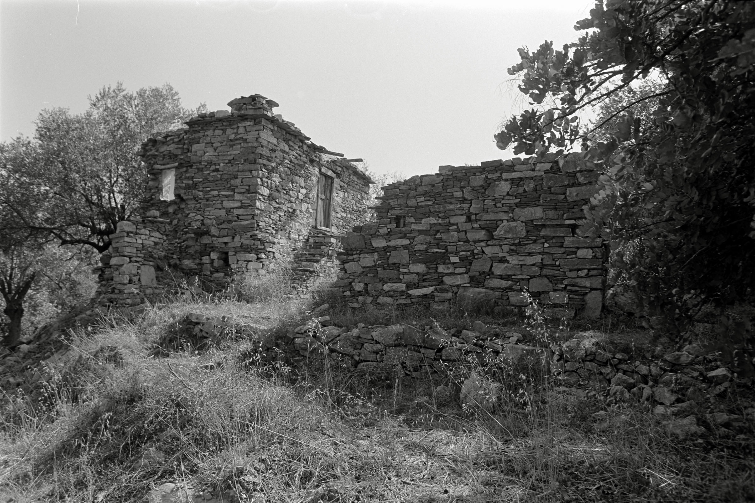 AHP F1991 09 003 sc240914 img17 NLP